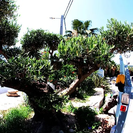 Апарт-отель Saint Esteve Appart 3*